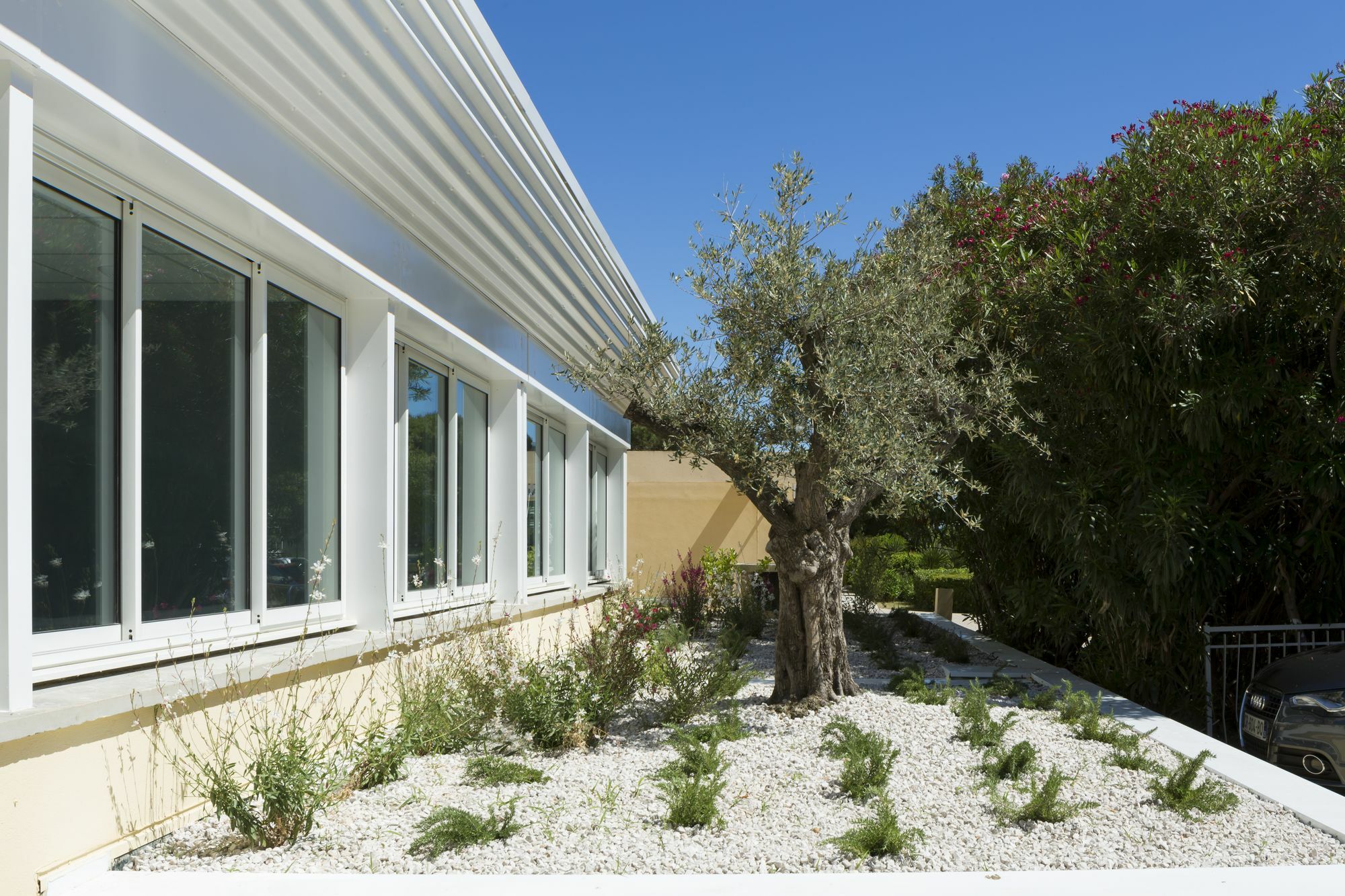 Logis Hotel Les Pins - Operalia Balaruc-les-Bains Eksteriør bilde